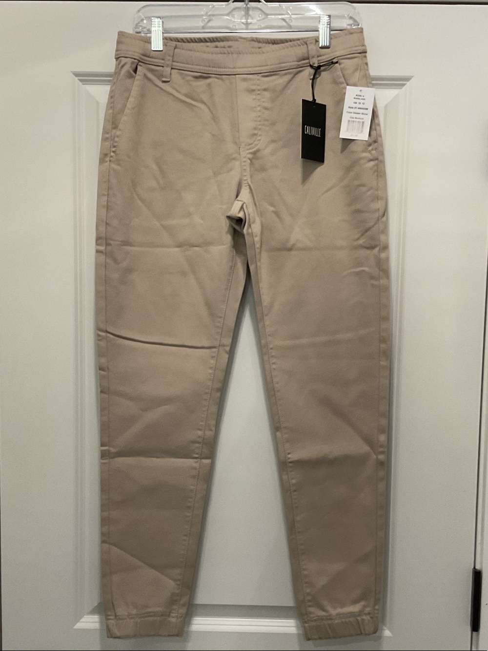 Men's Chino Jogger Pants in Deeper Stone